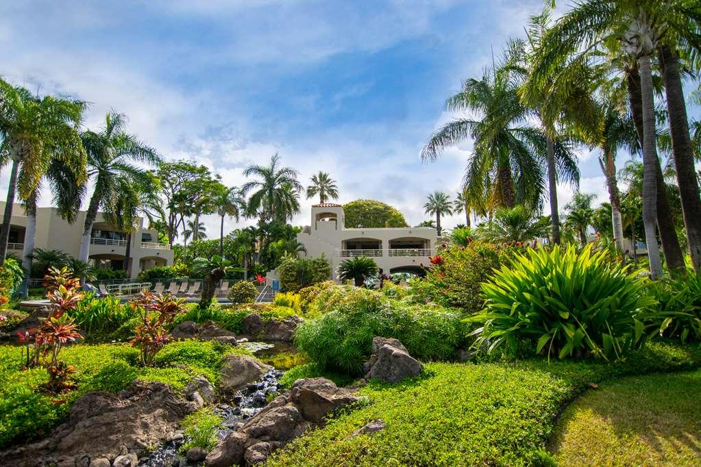 Palms At Wailea Apartment Уайлеа Екстериор снимка